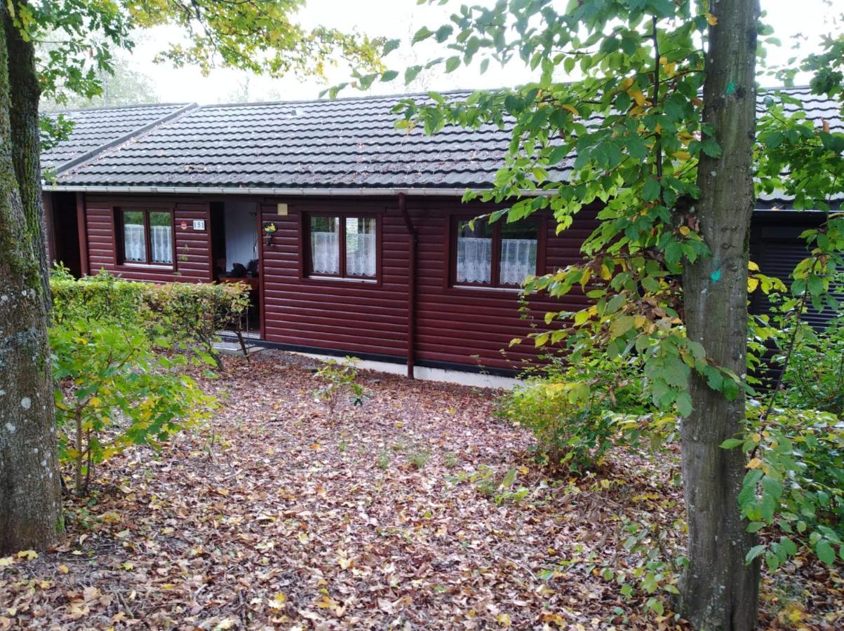 gîte superéquipé en Ardenne belge Rendeux Extérieur photo